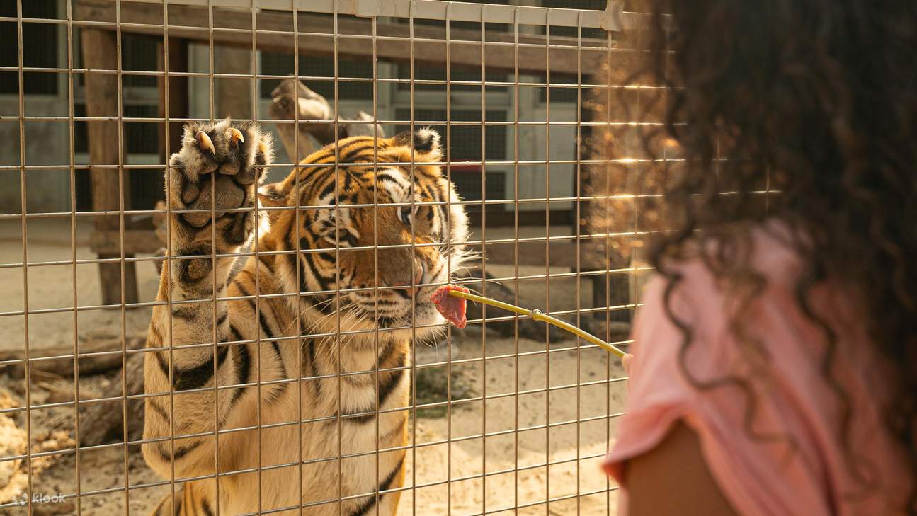 Vé Vào Cửa Cả Ngày | Angkor Wildlife & Aquarium